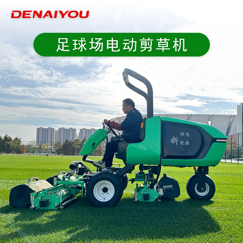 养护知识 | 足球场天然草主要选种的是什么品种？有什么讲究呢？